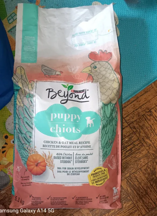 Beyond Purina Puppy Chiot Chicken & Oat 5.3 kg thumbnail