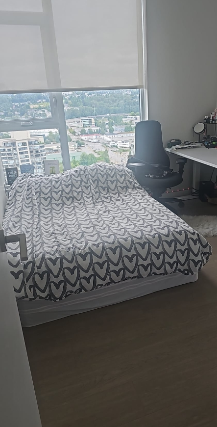 Double Mattress is AVAILABLE,  box spring is gone - photo 2