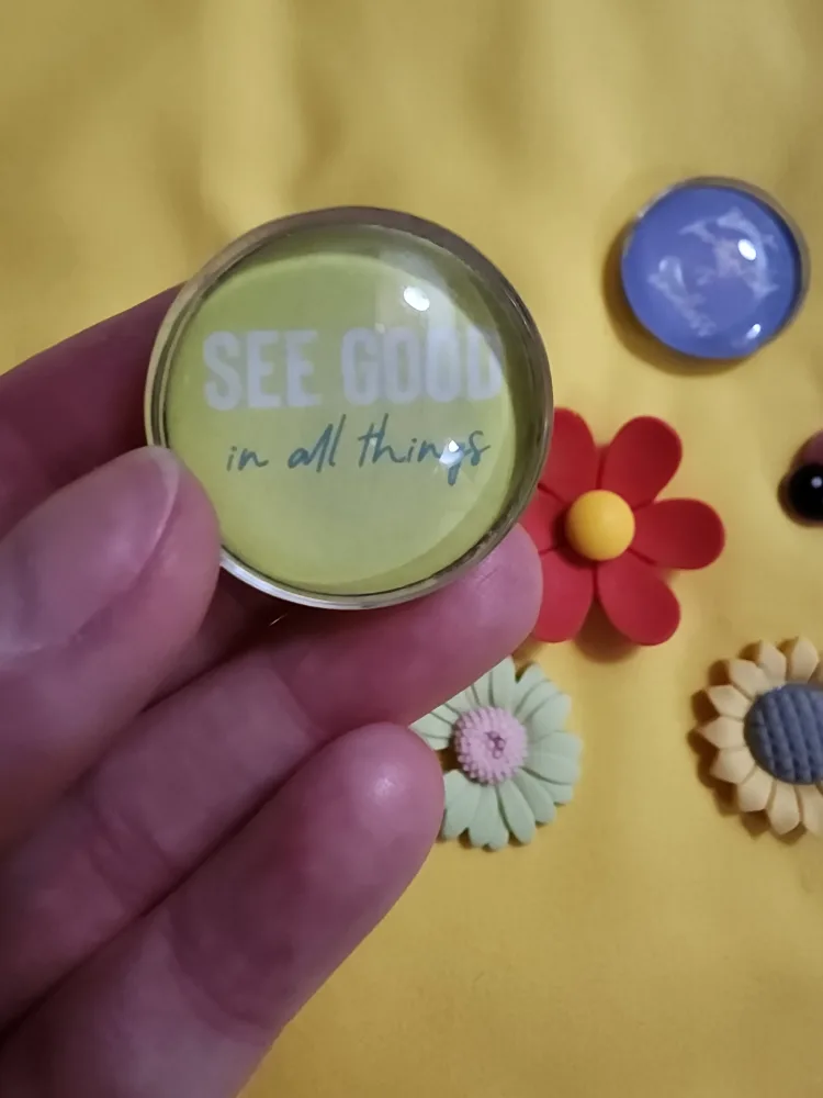 Decorative Fridge Magnets image indicator(2)