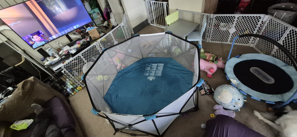 Regalo 8 panel Portable Play Yard