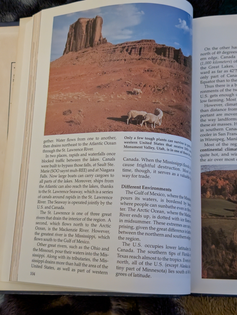 Steck-Vaughn 1983 World Geography Book - photo 4
