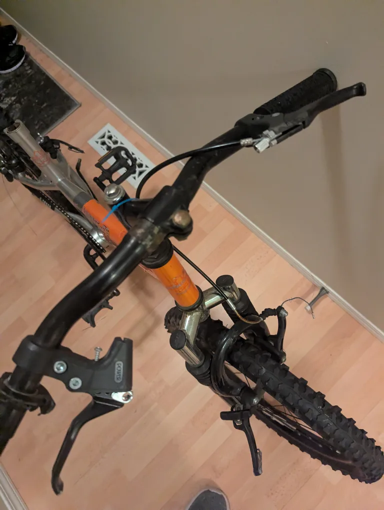 Absolutely everything wrong with this bike maybe the frame image indicator(8)