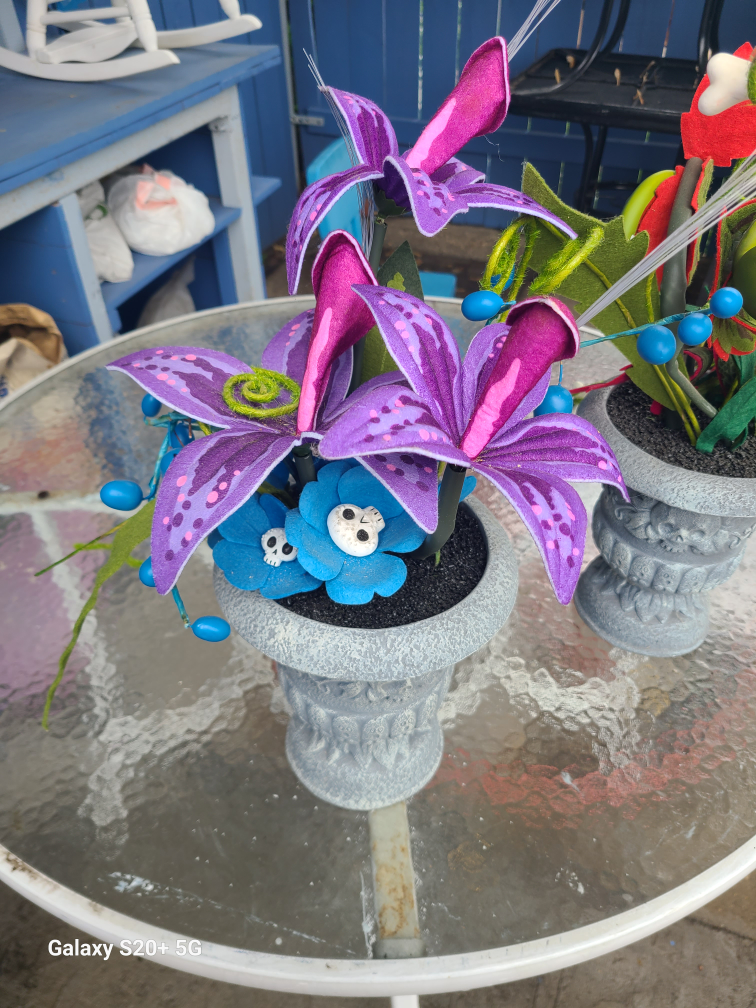 Unique Decorative Plant Arrangement