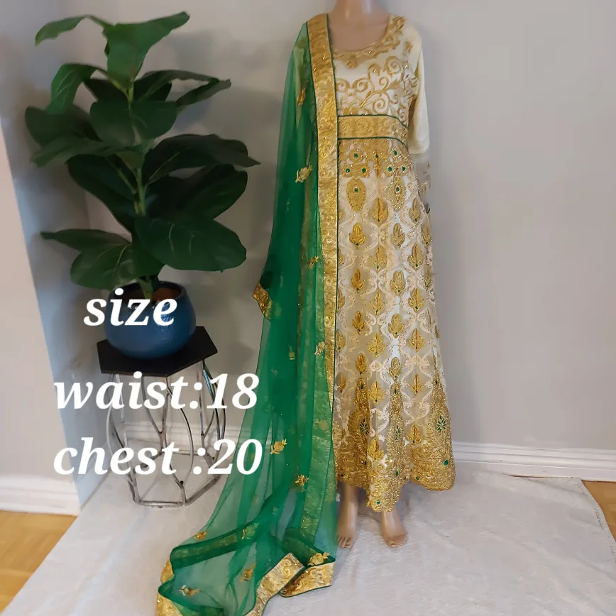 long Indian/Pakistani dress