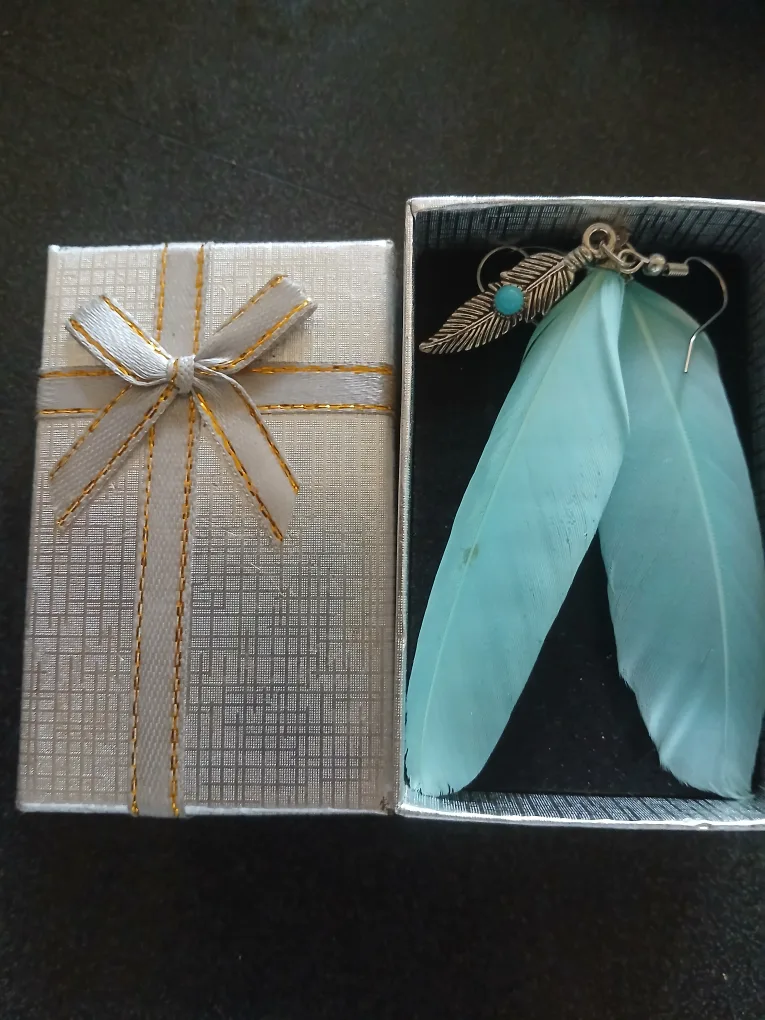 Feather Earrings in Gift Box thumbnail