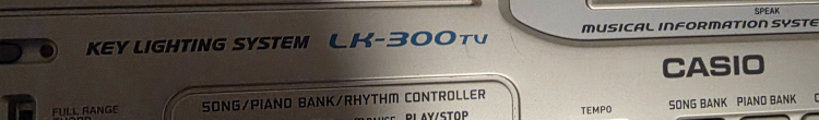 Casio LK-300TV Keyboard - photo 2