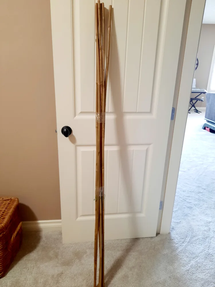New bamboo stakes x 8