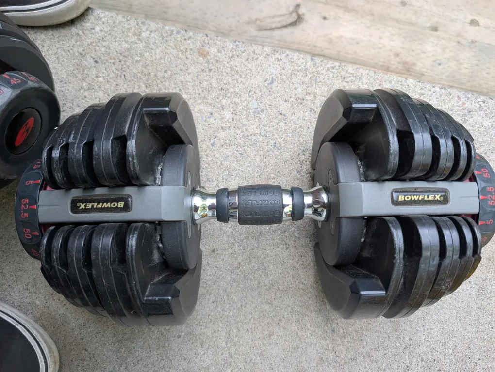 Bowflex SelectTech 552 Adjustable Dumbbells image indicator(3)