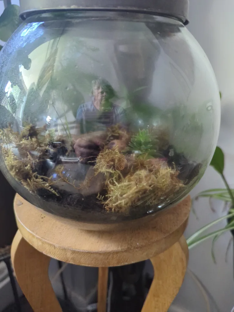 Self-Sustaining Terrarium image indicator(4)