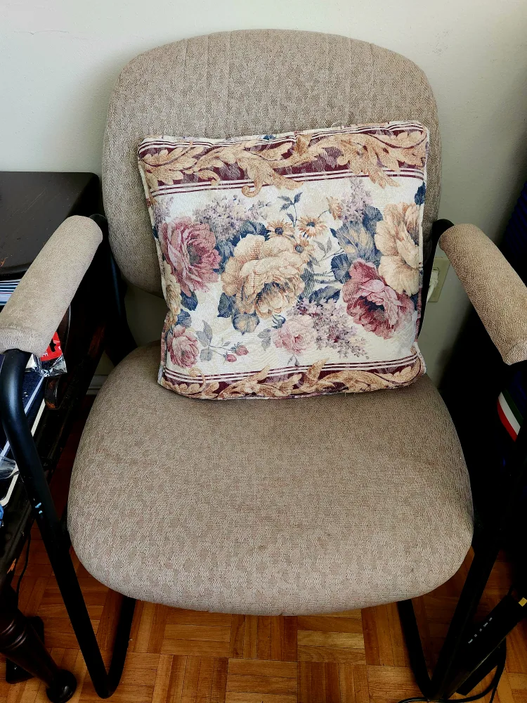 Chair & Floral Pillow thumbnail