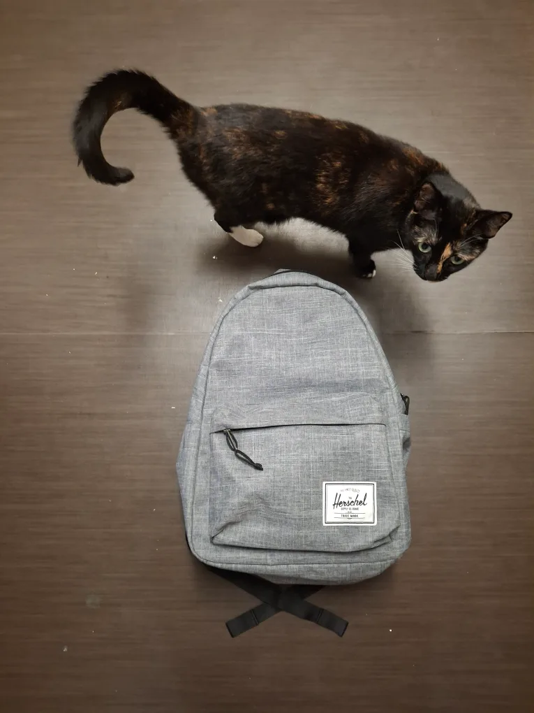 Herschel Backpack - Grey thumbnail