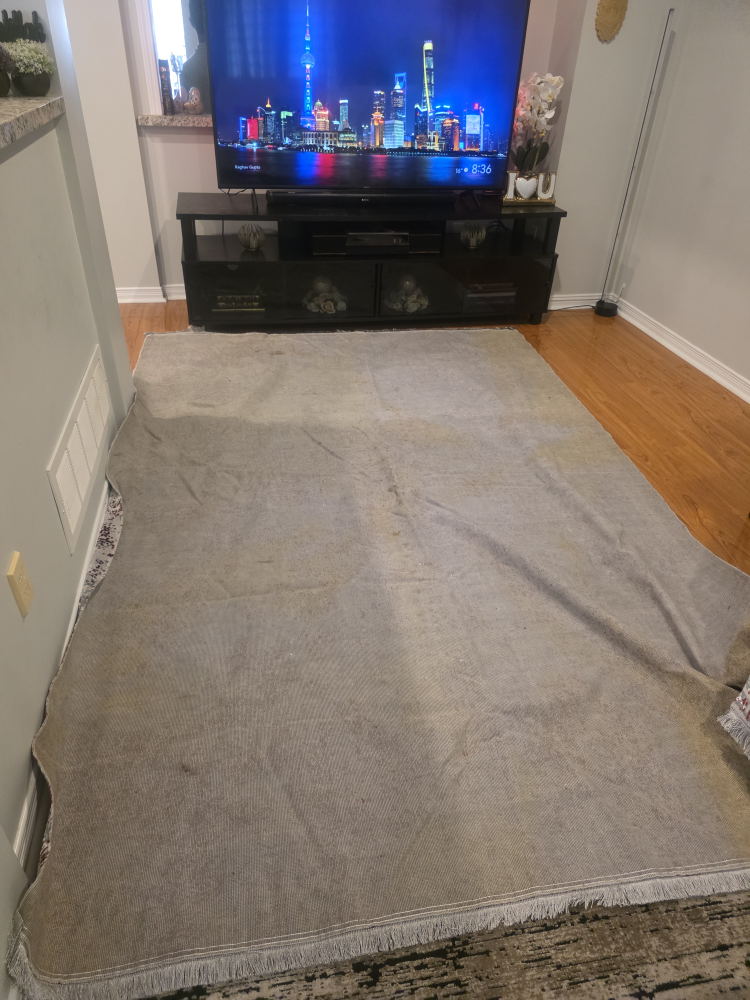 Area Rug - Home Decor - photo 2