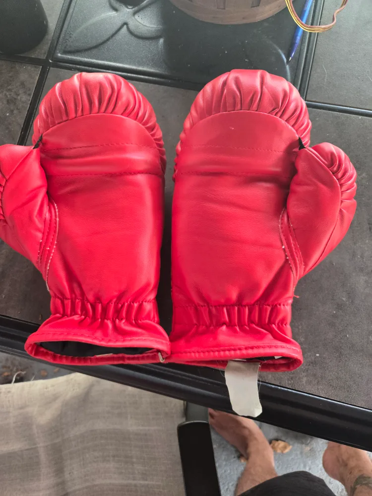 Everlast Red Boxing Gloves - Size Small image indicator(2)