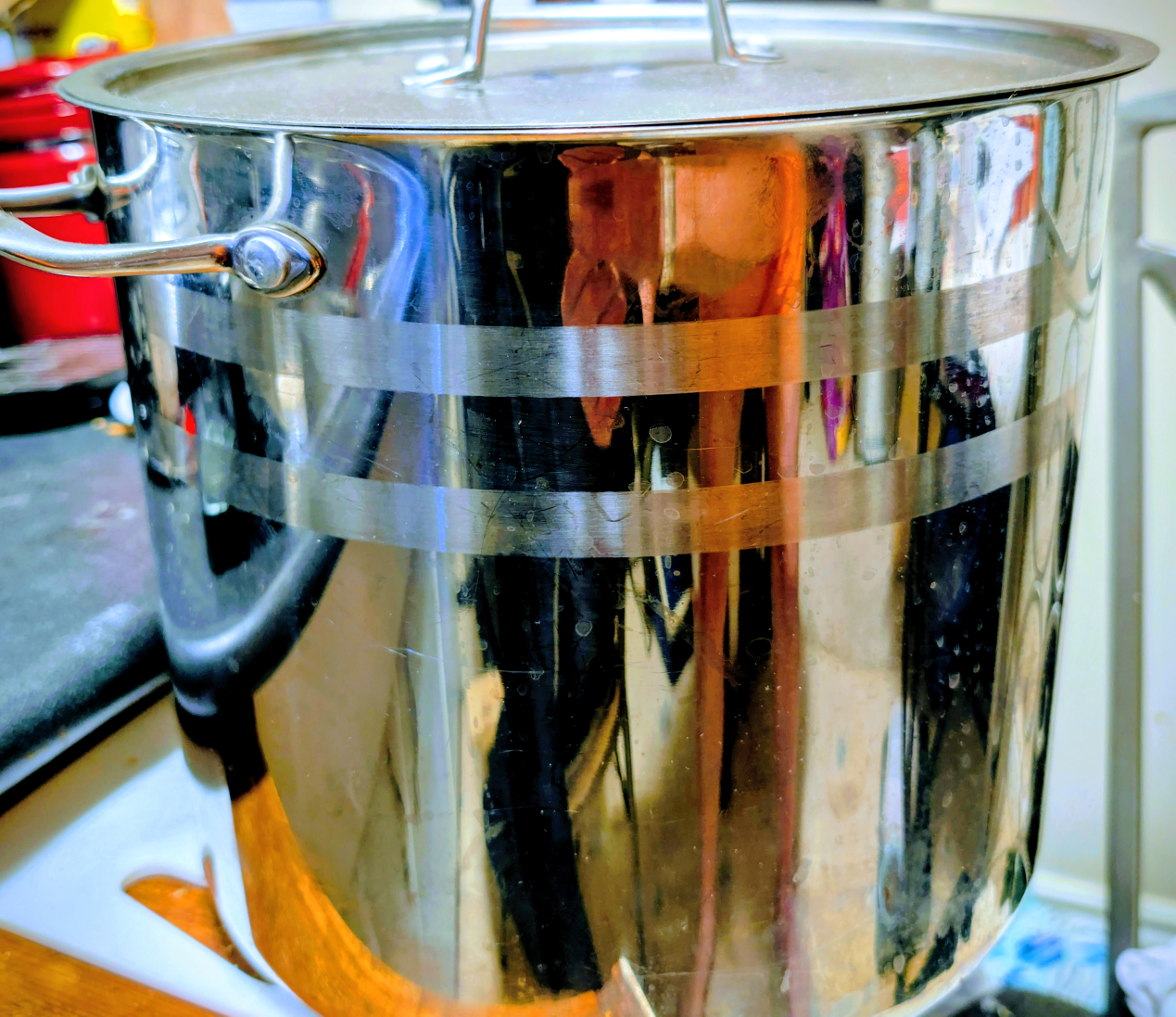 Costco 16QT Stainless Steel Stock Pot