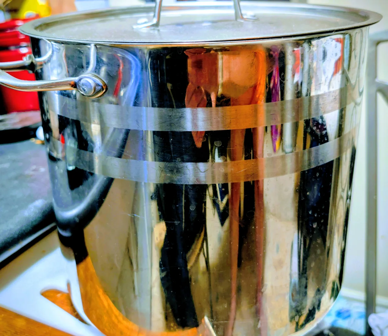 Costco 16QT Stainless Steel Stock Pot thumbnail