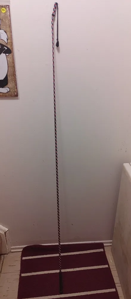 Braided Bullwhip - Great Condition thumbnail