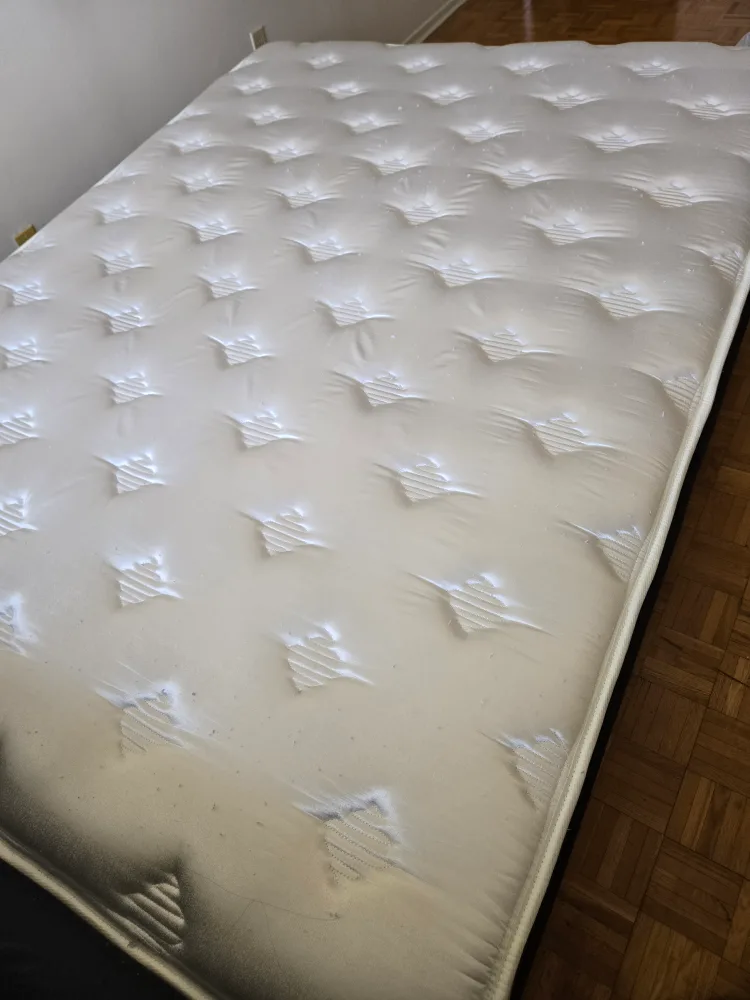 Zinus Spa Sensations Queen Mattress image indicator(6)