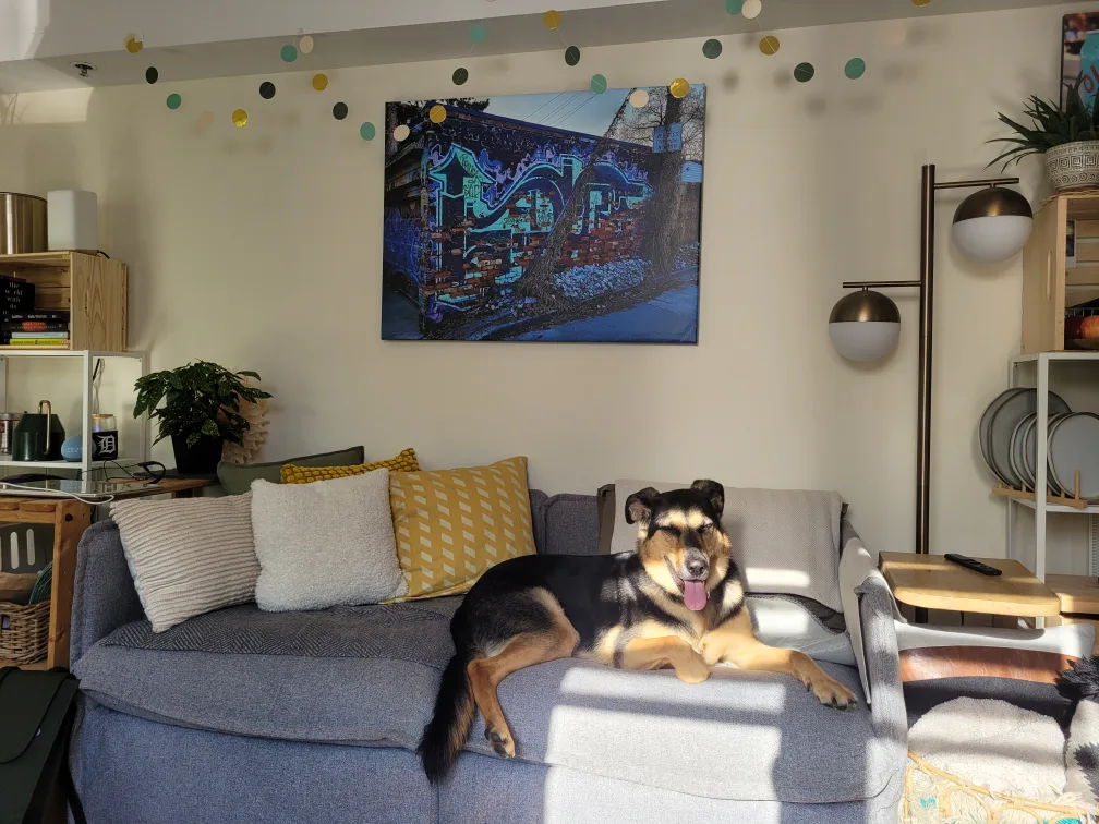 large mirror and modular sofa plus more thumbnail