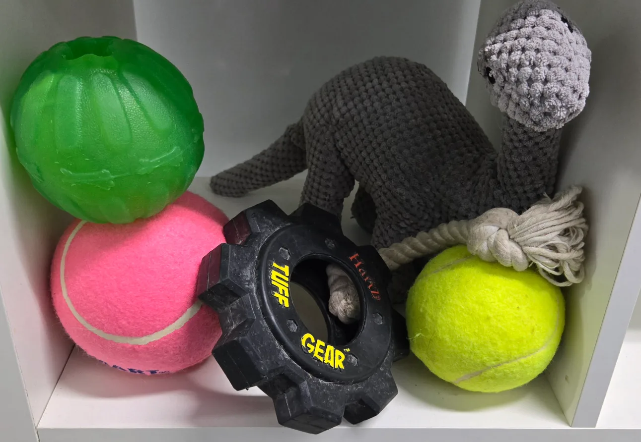 Dog Toys: Hartz Tuff Gear, Plush Dino & Balls thumbnail