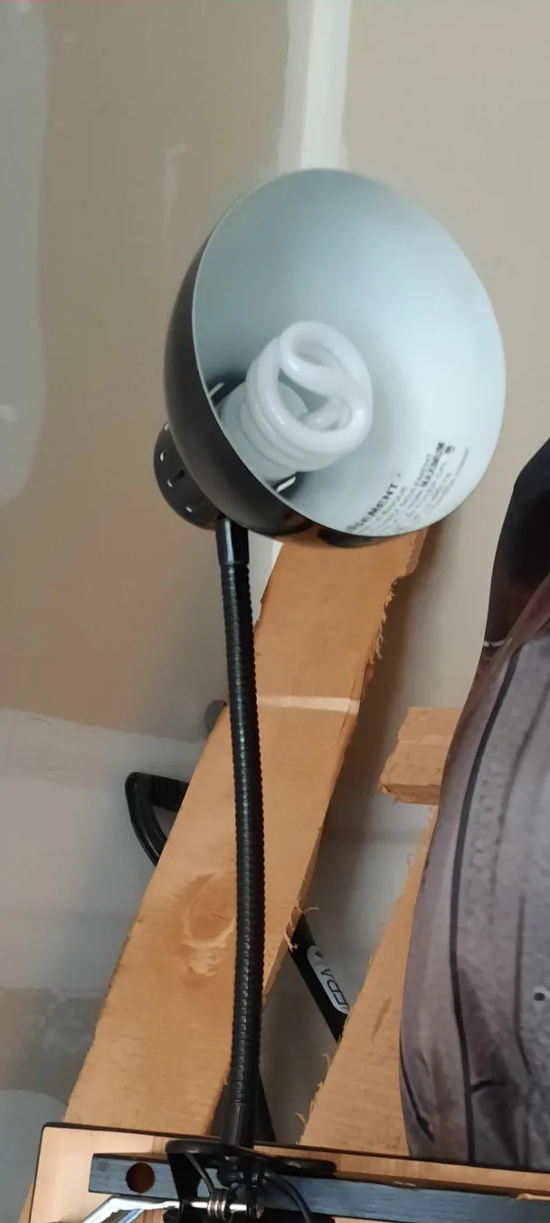 Black Clip-On Desk Lamp thumbnail