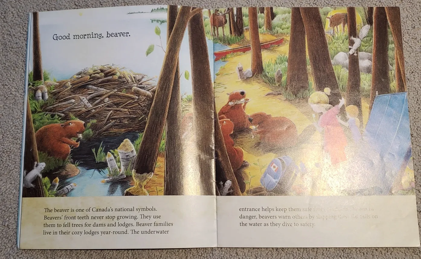 Good Morning, Canada by Andrea Lynn Beck image indicator(3)