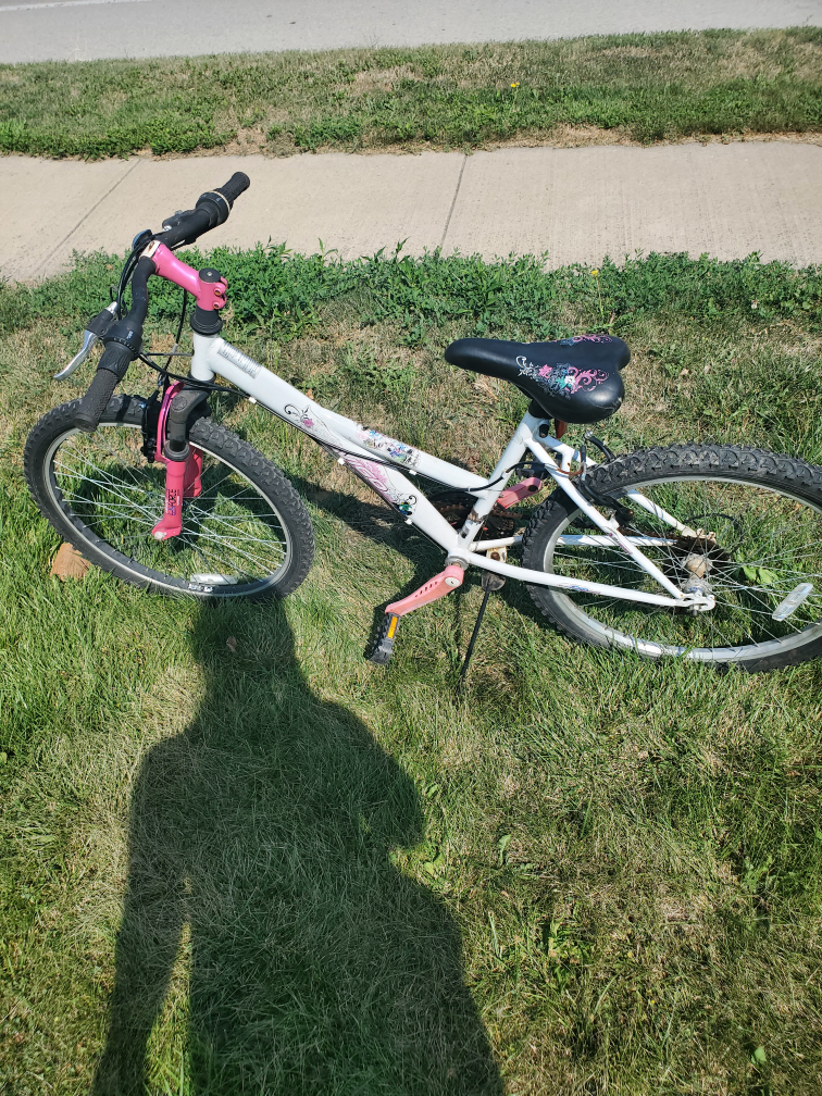 21 speed bike - photo 4