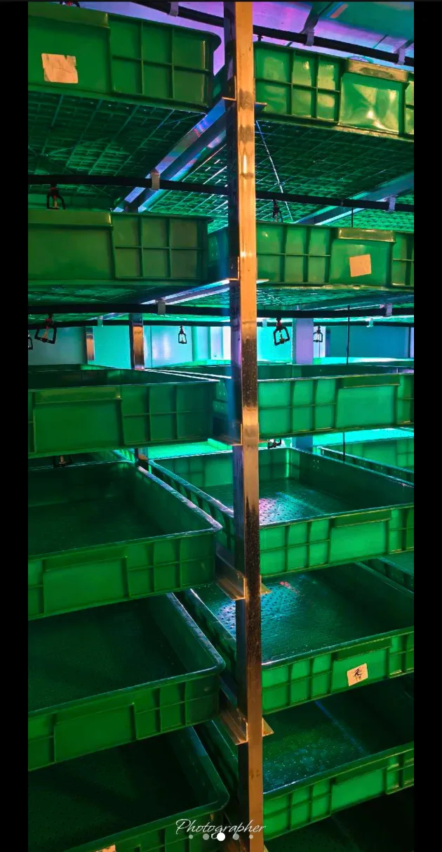 Sprout machine image indicator(8)