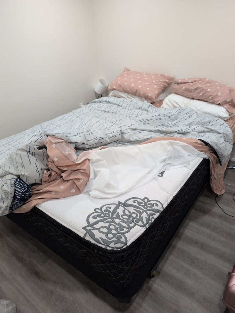 queen mattress + box spring + metal railing