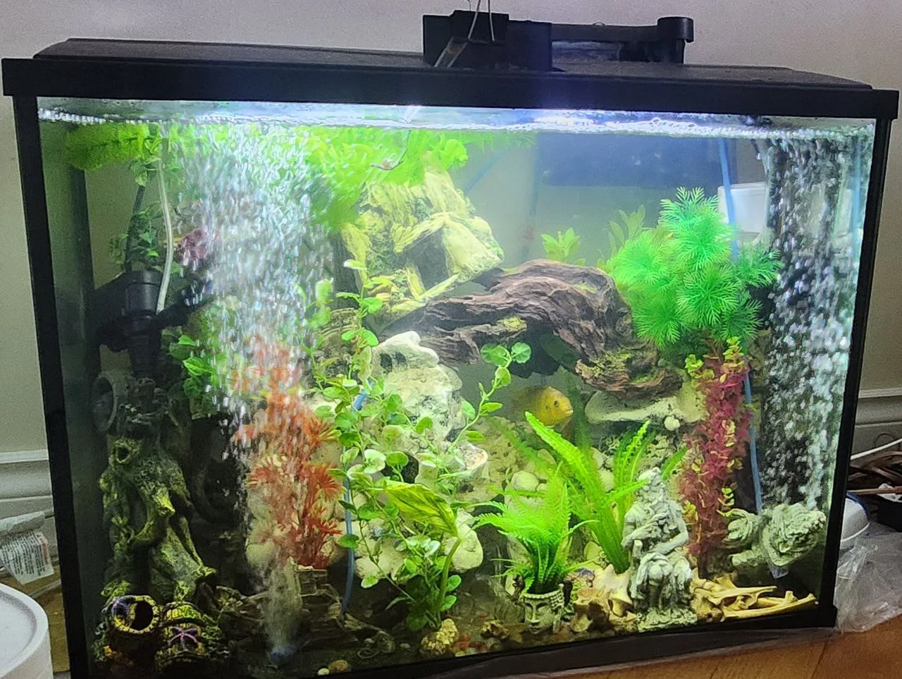 34 gallon aquarium thumbnail
