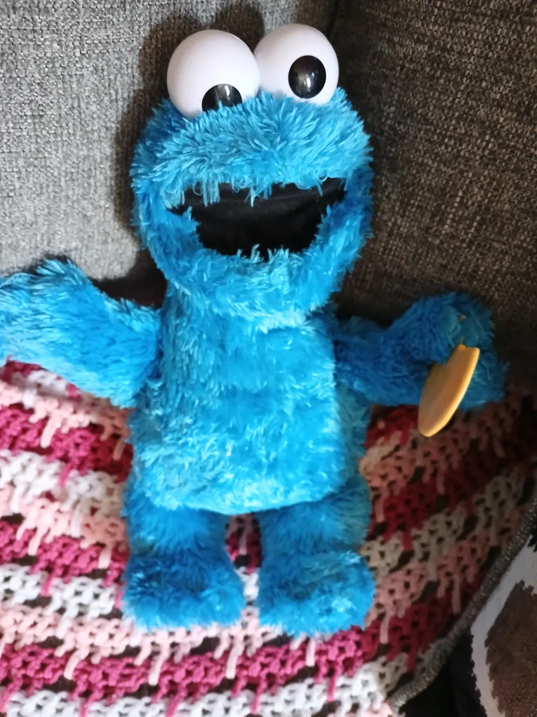 Cookie Monster Plush Toy thumbnail