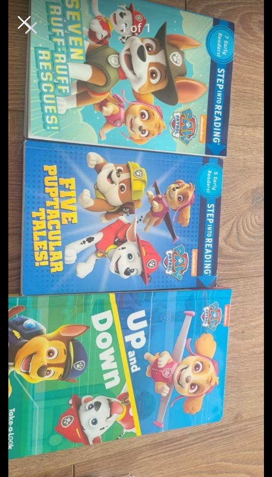 paw Patrol books for kids