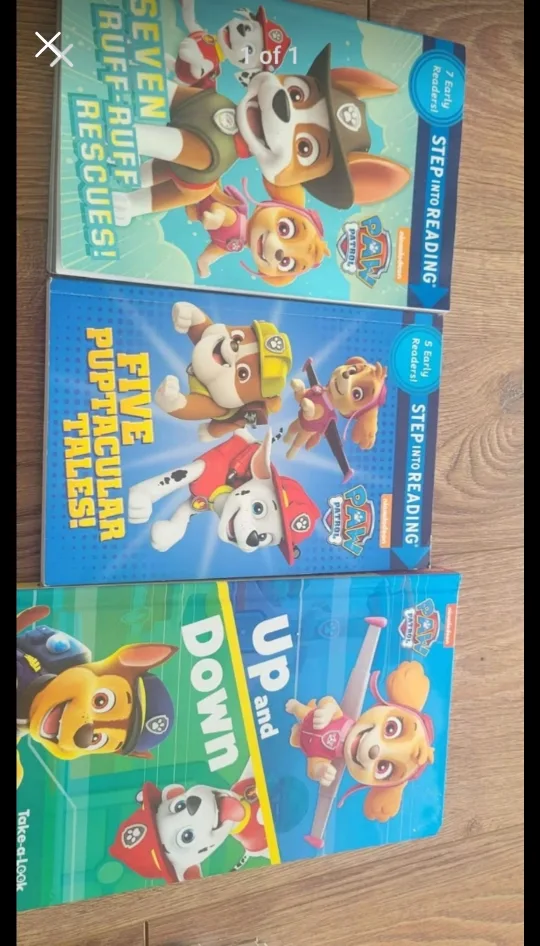 paw Patrol books for kids thumbnail