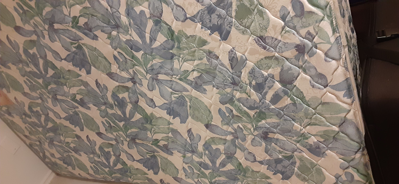 Spring World Chiro Slumber Mattress - photo 2