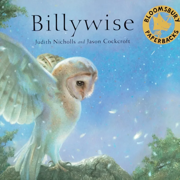 Billywise by Judith Nicholls & Jason Cockcroft thumbnail