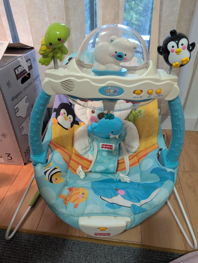 Fisher-Price Precious Planet Baby Bouncer