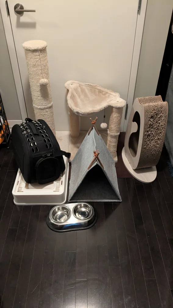 Cat Carrier, Litterbox, Beds, Scratching Posts, Bowls thumbnail