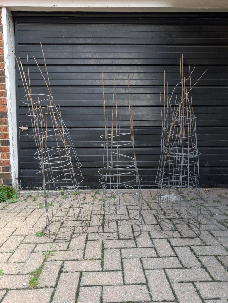 Tomato Cages 🇨🇦 thumbnail