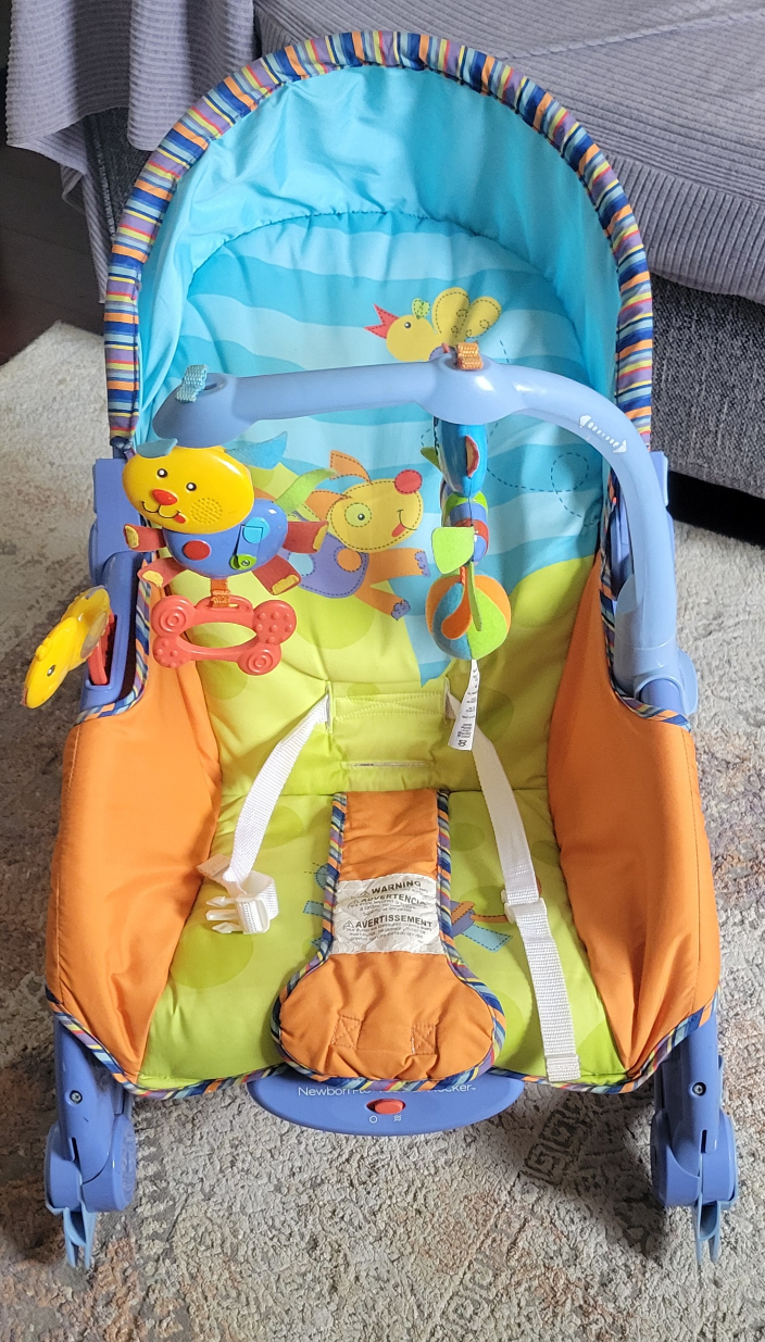 new born to toddler rocker