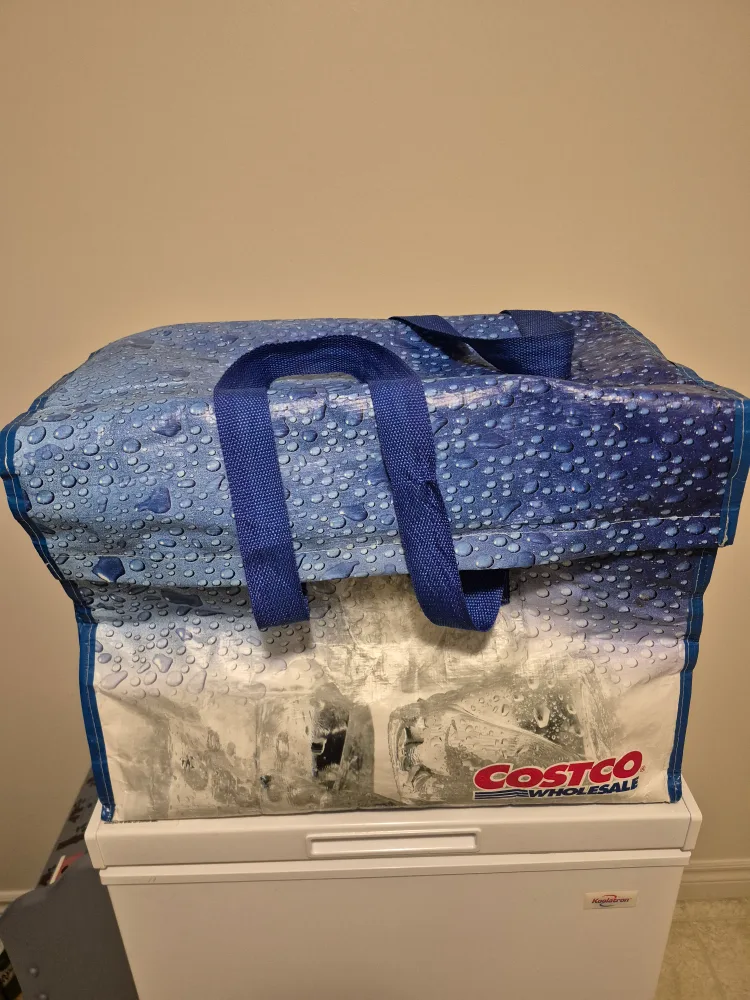 Costco Insulated Shopping Bag thumbnail