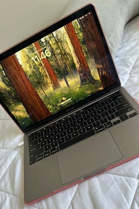MacBook Pro image indicator(3)