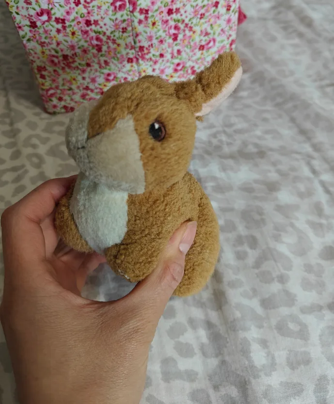 Bunny Plush Toy Collection 💖🧡 image indicator(10)