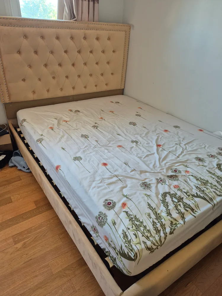 Velvet texture Queen size bed frame thumbnail