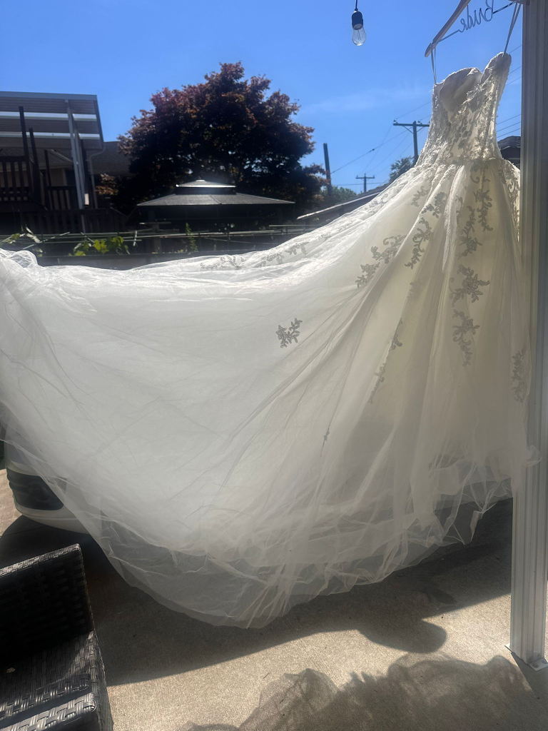 Wedding Dress - Elegant & Beautiful (Size 0-2) XS-S - photo 4