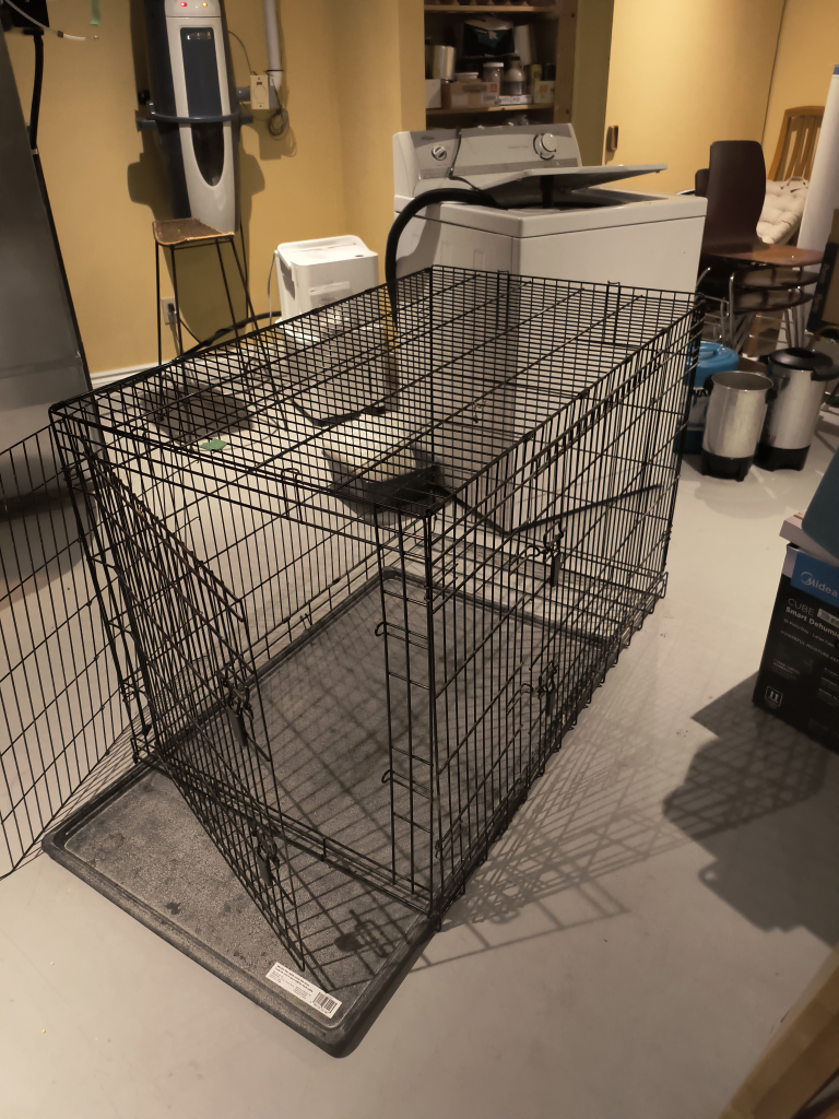 Dog Crate