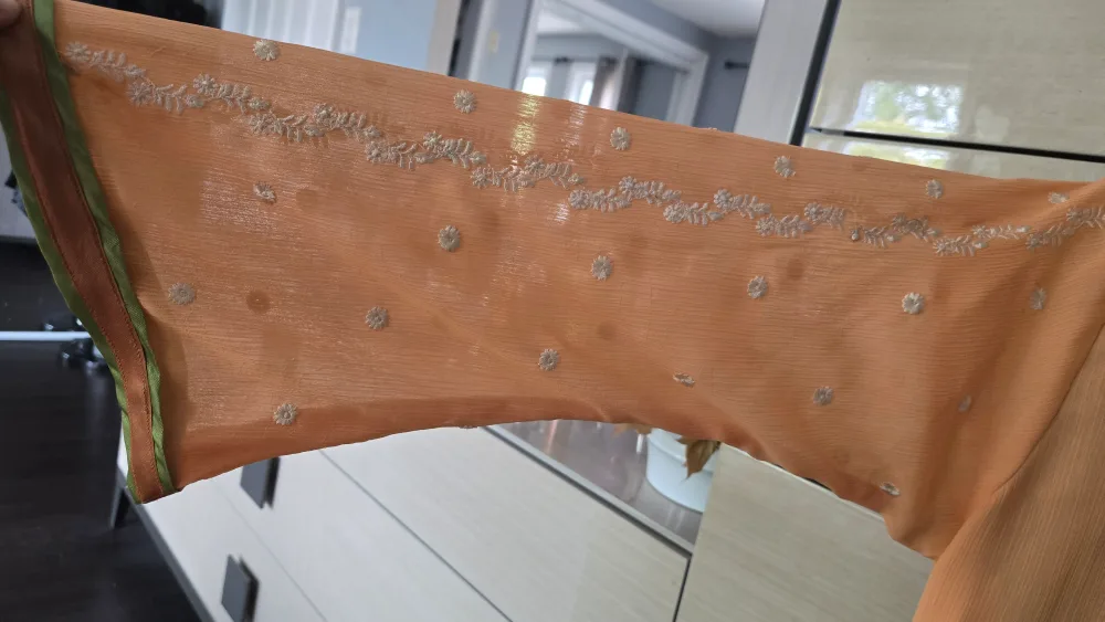 Pakistani Dress (2-Piece) image indicator(3)