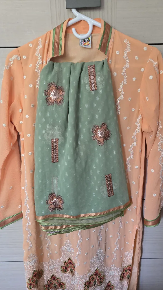 Pakistani Dress (2-Piece) image indicator(4)