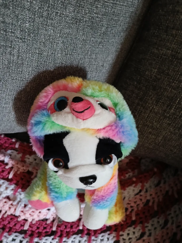 Rainbow Plush Dog Toy thumbnail