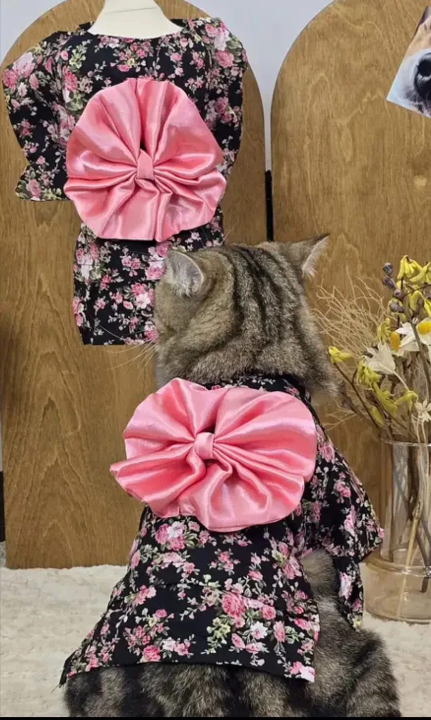 🐶🐱 New small dog/cat kimono costume thumbnail