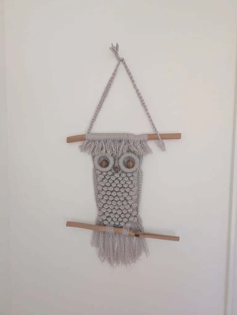Vintage Macrame Owl Wall Hanging image indicator(2)