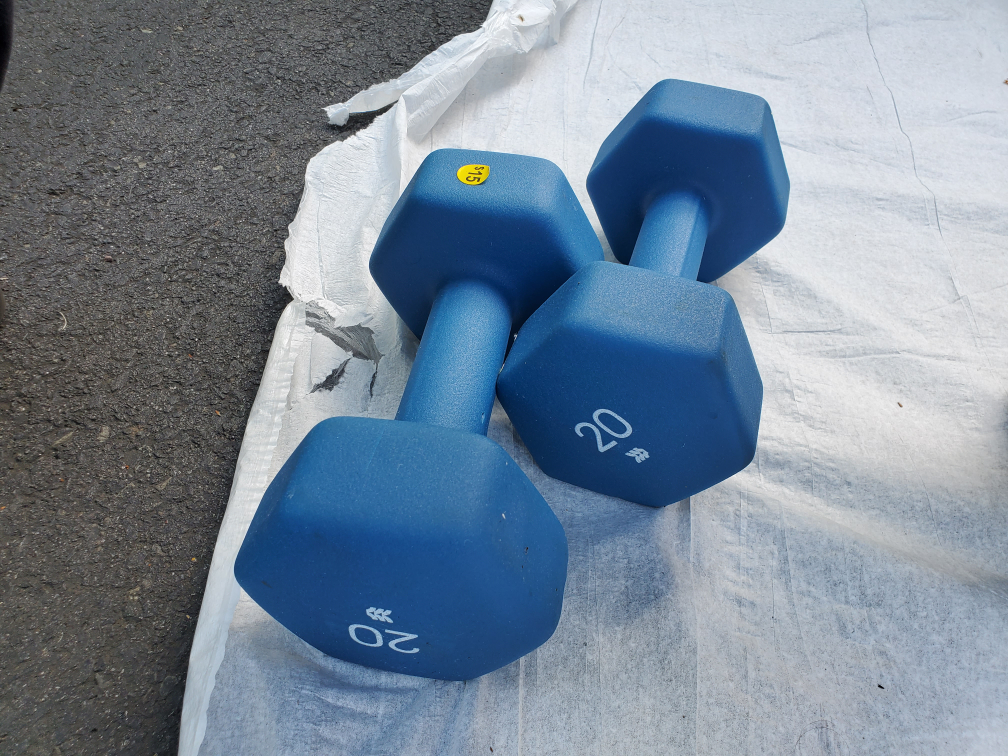 Pair of 20 lb Blue Dumbbells - photo 3